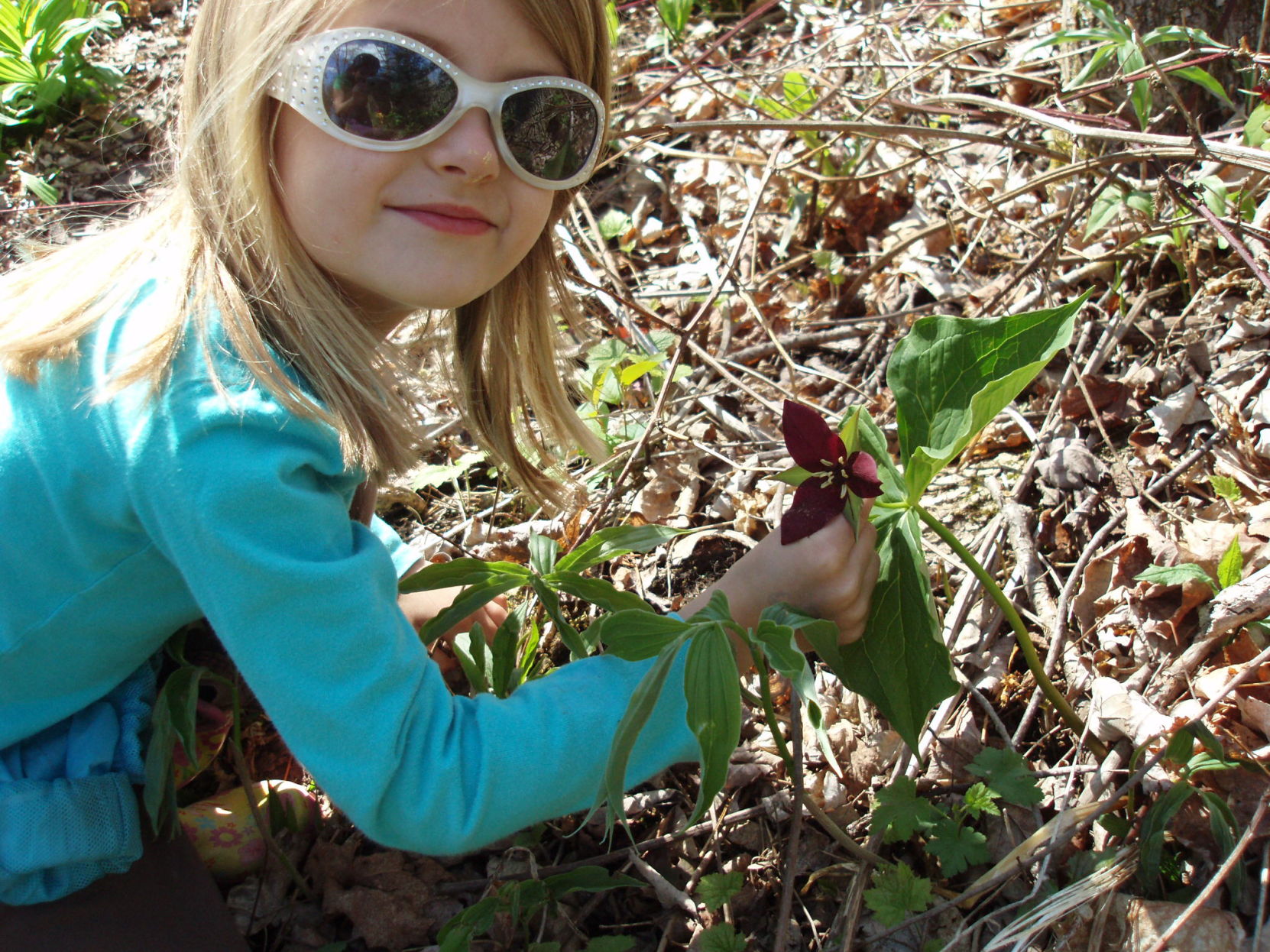 woods walk - Ella and trillium.jpg